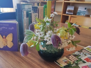 Bibliotekoje paminėjome Tarptautinę žavėjimosi augalais dieną