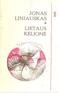 lietaus kelione